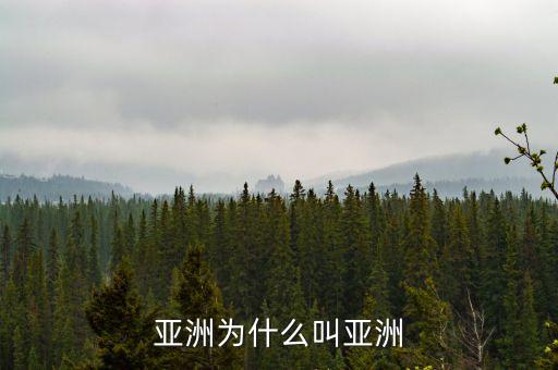 為什么叫亞洲，亞洲為什么叫亞洲我們是亞洲人怎么沒給自己的洲取過名字  搜