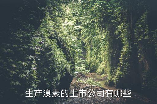 為什么溴素價格上漲，生產(chǎn)溴素的上市公司有哪些