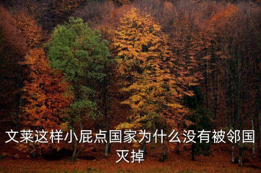 中國為什么不吞并文萊，文萊這樣小屁點國家為什么沒有被鄰國滅掉