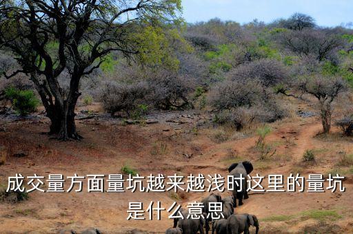 成交量方面量坑越來越淺時這里的量坑是什么意思