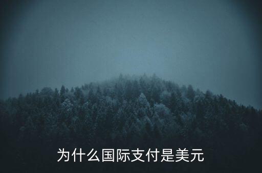 為什么國際支付是美元