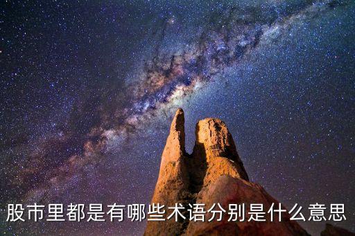 股市里都是有哪些術(shù)語分別是什么意思