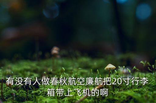 春秋廉航是什么意思，春秋航空晚點(diǎn)8個(gè)小時(shí)不予賠償損失如何解釋