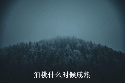 油桃什么時(shí)候成熟