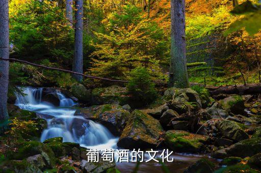 葡萄酒的文化