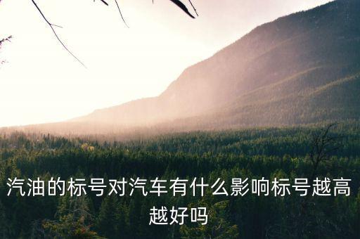 汽油的標(biāo)號對汽車有什么影響標(biāo)號越高越好嗎