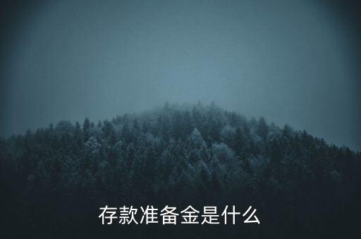 存款準(zhǔn)備金是什么