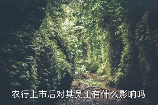 農(nóng)行上市后對其員工有什么影響嗎