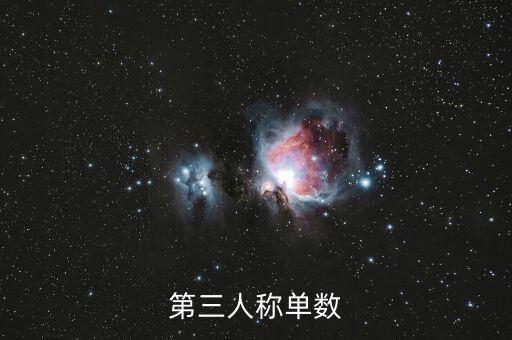 第三人稱(chēng)單數(shù)