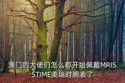 澳門的大佬們怎么都開始佩戴MRISSTIME美瑞時(shí)腕表了