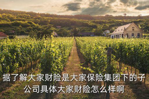 大財子公司全稱是什么，大財子什么意思哦