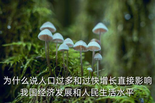 為什么中國經(jīng)濟(jì)發(fā)展靠人口數(shù)量，為什么中國人口多影響經(jīng)濟(jì)發(fā)展