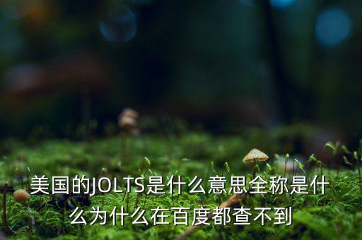 jolts職位空缺是什么，美國的JOLTS是什么意思全稱是什么為什么在百度都查不到