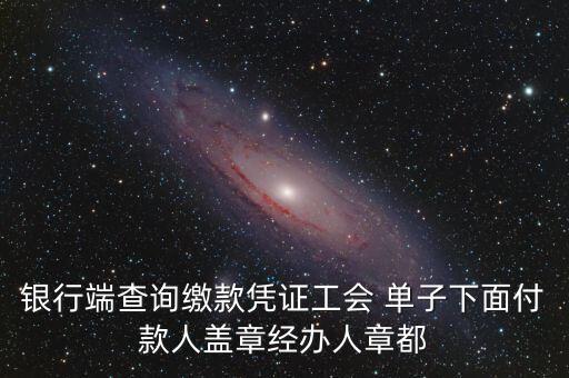 銀行端查詢繳款憑證工會 單子下面付款人蓋章經(jīng)辦人章都