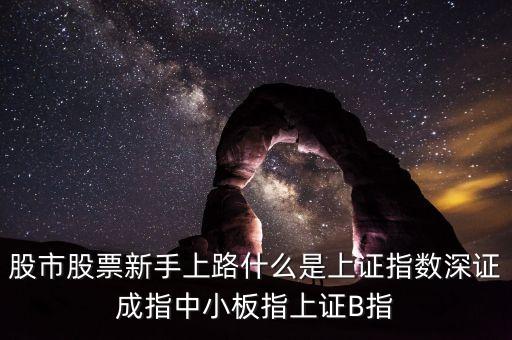 股市股票新手上路什么是上證指數(shù)深證成指中小板指上證B指