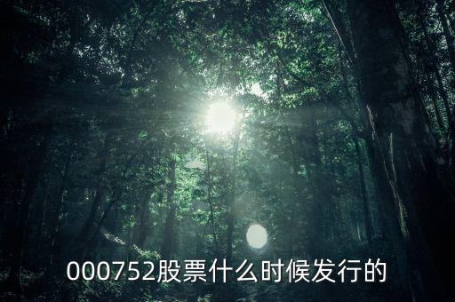 九泰銳富什么時候發(fā)行，000752股票什么時候發(fā)行的
