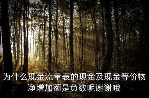 為什么現金流量表的現金及現金等價物凈增加額是負數呢謝謝哦