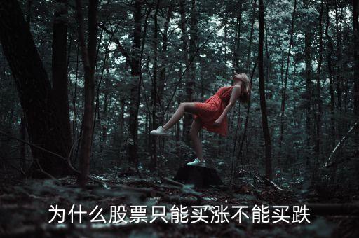 股票為什么不能買跌，股票只能買低不能買跌如何理解啊