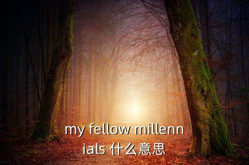 為什么叫千禧一代，my fellow millennials 什么意思