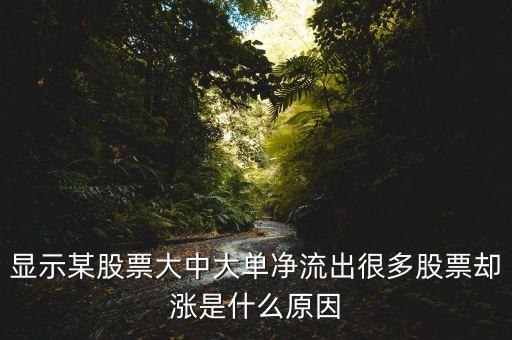 凈大單流出多說(shuō)明什么，凈流出特別是大單流出超大這意味著什么