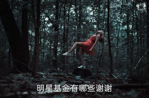 王健林有什么基金，明星基金有哪些謝謝