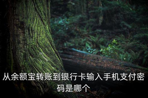 從余額寶轉(zhuǎn)賬到銀行卡輸入手機支付密碼是哪個