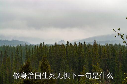 大勢(shì)所趨下一句是什么，修身治國(guó)生死無(wú)懼下一句是什么
