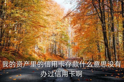 我的資產里的信用卡存款什么意思沒有辦過信用卡啊