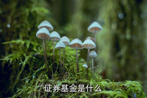 證券基金是什么