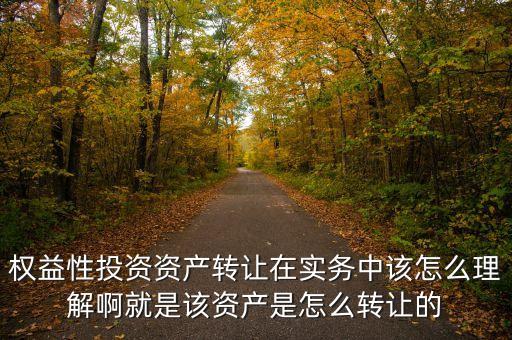 權(quán)益性投資資產(chǎn)轉(zhuǎn)讓在實(shí)務(wù)中該怎么理解啊就是該資產(chǎn)是怎么轉(zhuǎn)讓的