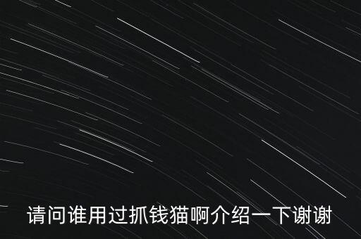 抓錢貓是什么公司，tara是在什么公司