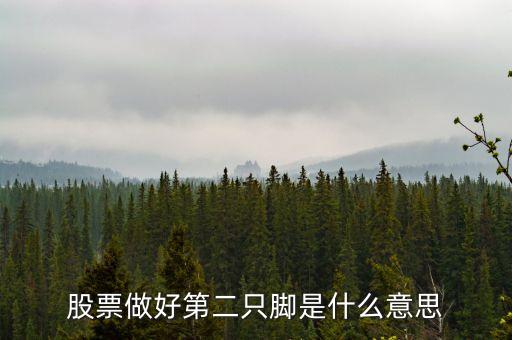 股市站穩(wěn)第二只腳什么意思，第2只腳指貼在大腳指上有甚么意義