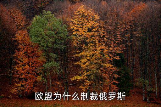 歐盟為什么對(duì)俄羅斯制裁，歐盟為什么制裁俄羅斯