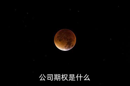 公司期權(quán)是什么
