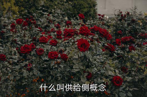什么叫供給側(cè)概念