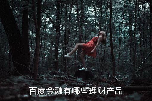 百度有什么理財(cái)產(chǎn)品，百度金融有哪些理財(cái)產(chǎn)品