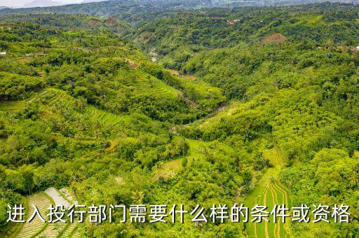 進(jìn)入投行部門需要什么樣的條件或資格