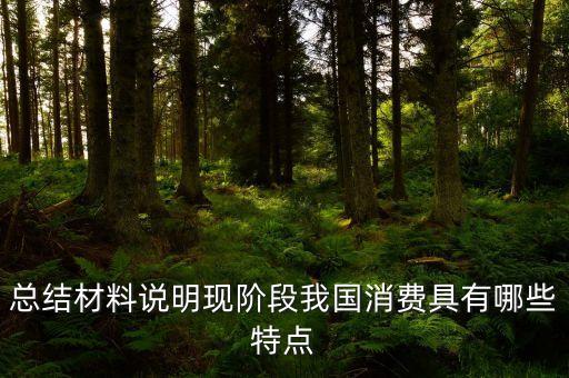 從材料的數(shù)據(jù)中反映了當(dāng)前消費(fèi)的什么特點(diǎn)，總結(jié)材料說(shuō)明現(xiàn)階段我國(guó)消費(fèi)具有哪些特點(diǎn)