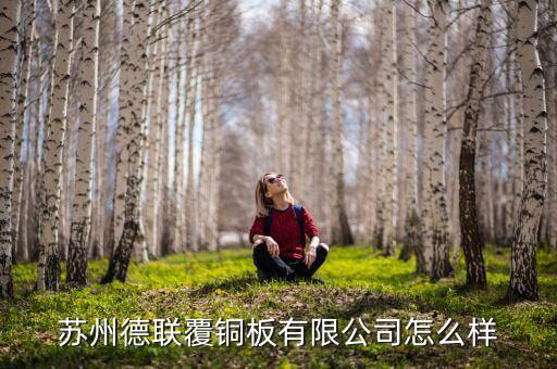 德聯(lián)集團(tuán)做什么的，德聯(lián)集團(tuán)的介紹