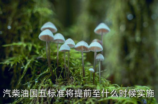 國5柴油什么時候?qū)嵤?，汽柴油國五標準將提前至什么時候?qū)嵤?/></a></span><span id=