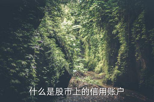 股票什么是信用賬戶買，在信用賬戶買股票和在普通賬戶有不同嗎