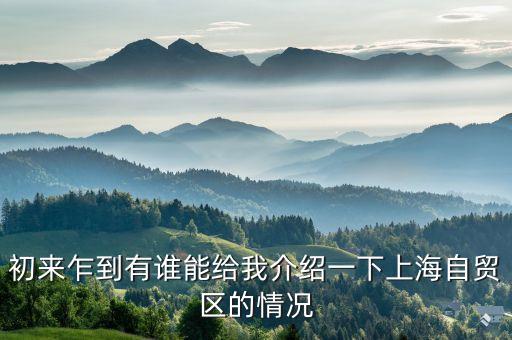 上海自貿(mào)區(qū)在什么時(shí)候成立的，經(jīng)濟(jì)自貿(mào)區(qū)的起始時(shí)間是