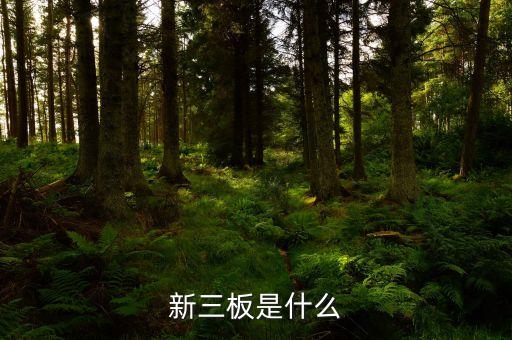 新三板是什么