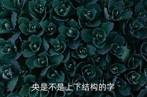 央字是什么結(jié)構(gòu)，央是什么結(jié)構(gòu)