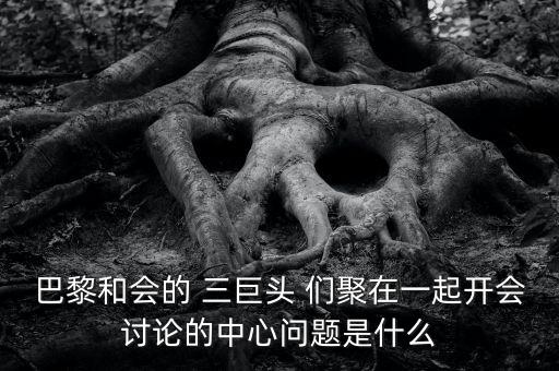 巴黎和會的 三巨頭 們聚在一起開會討論的中心問題是什么