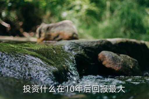 投資什么年回報(bào)10，投資什么在10年后回報(bào)最大