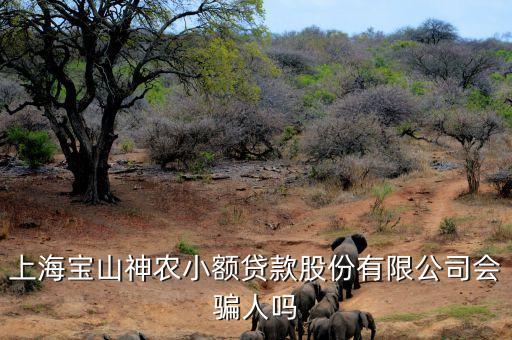 上海神農(nóng)小額貸款公司經(jīng)理叫什么，上海寶山神農(nóng)小額貸款股份有限公司會騙人嗎