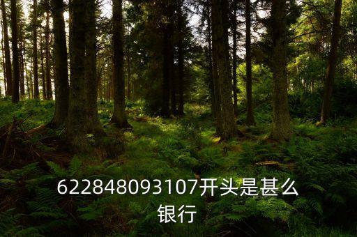 622848093107開(kāi)頭是甚么銀行