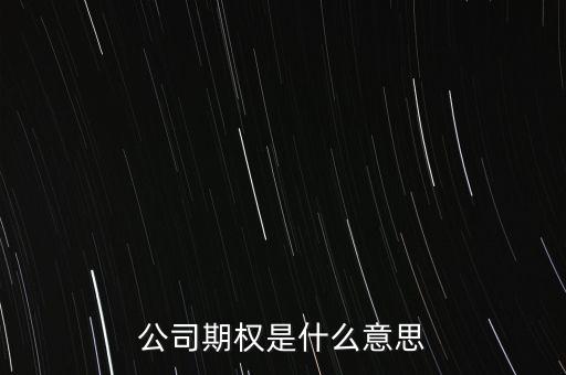 公司期權(quán)是什么意思