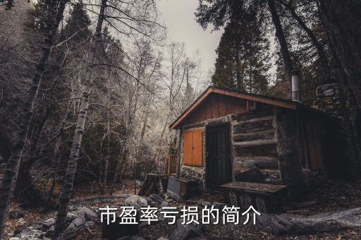 市盈率虧損的簡介